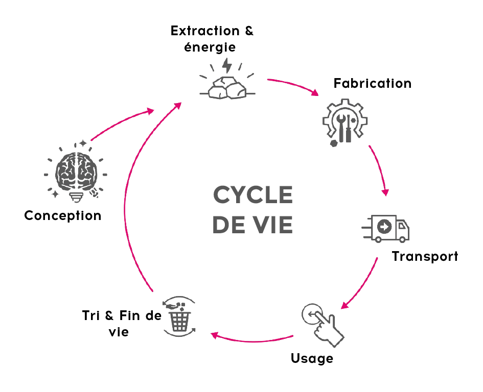 cycles de vie